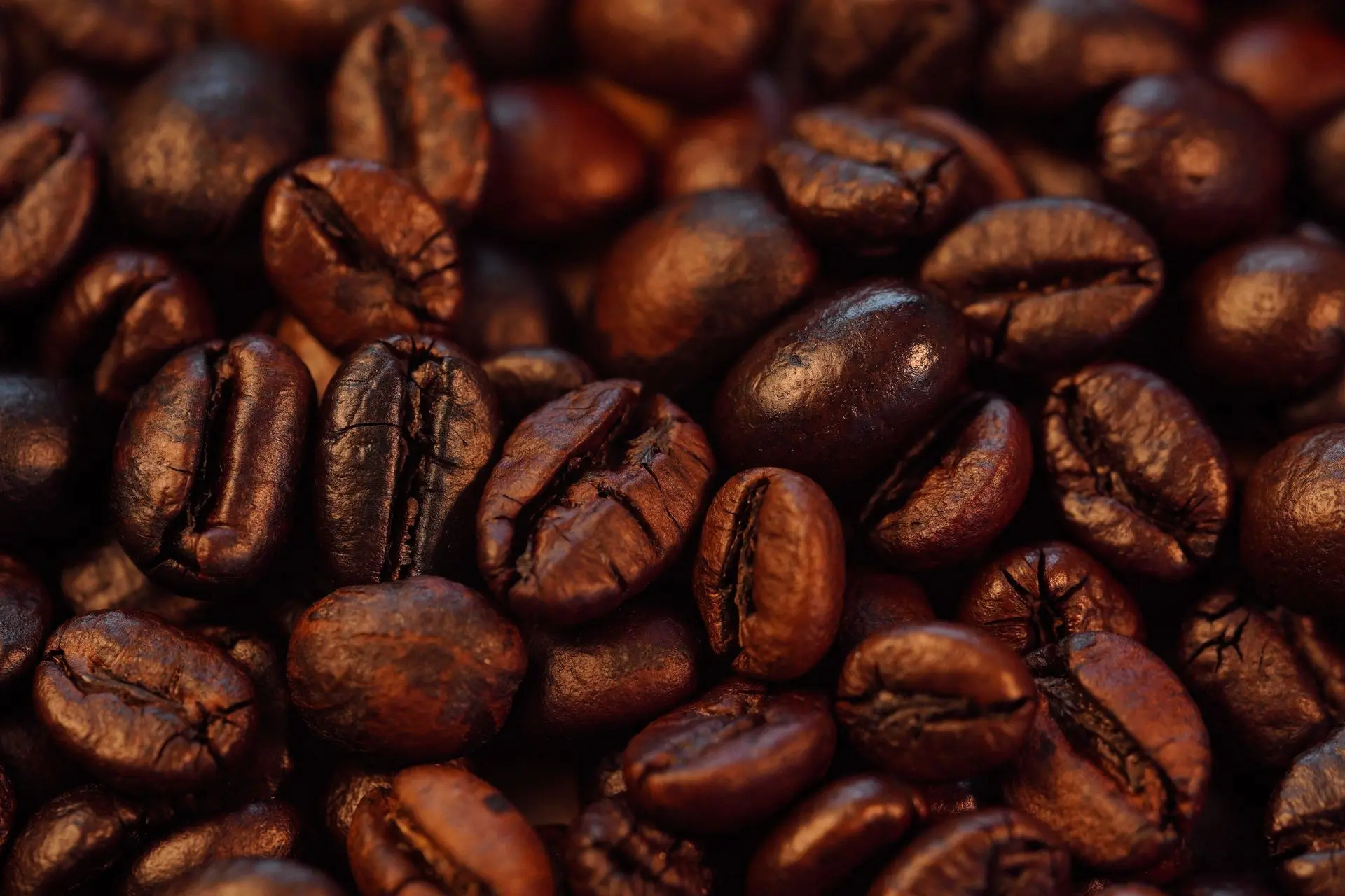 Decadent Caturra Coffee from Brazil coffee